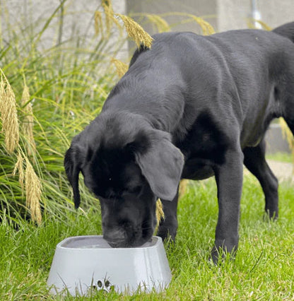 ELSPET™ Pet Water Bowl [1.5 Litre]