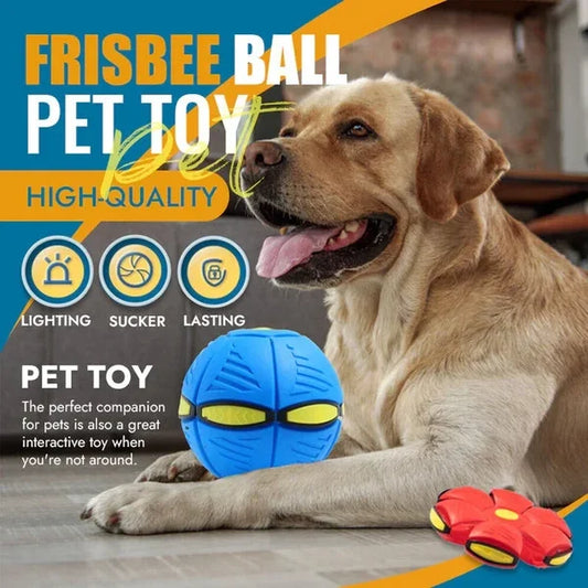 Doggy Disc Ball