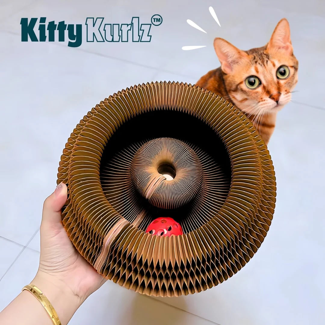 Kitty Kurlz™ - Cat Interactive Toy