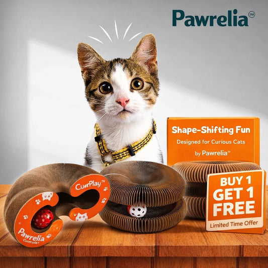 Cat Interactive Toy - Scratcher