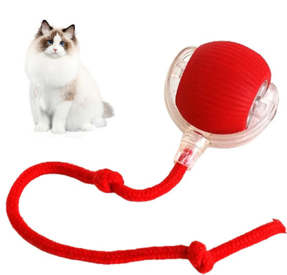 Furry's Interactive Rotating Fun Ball