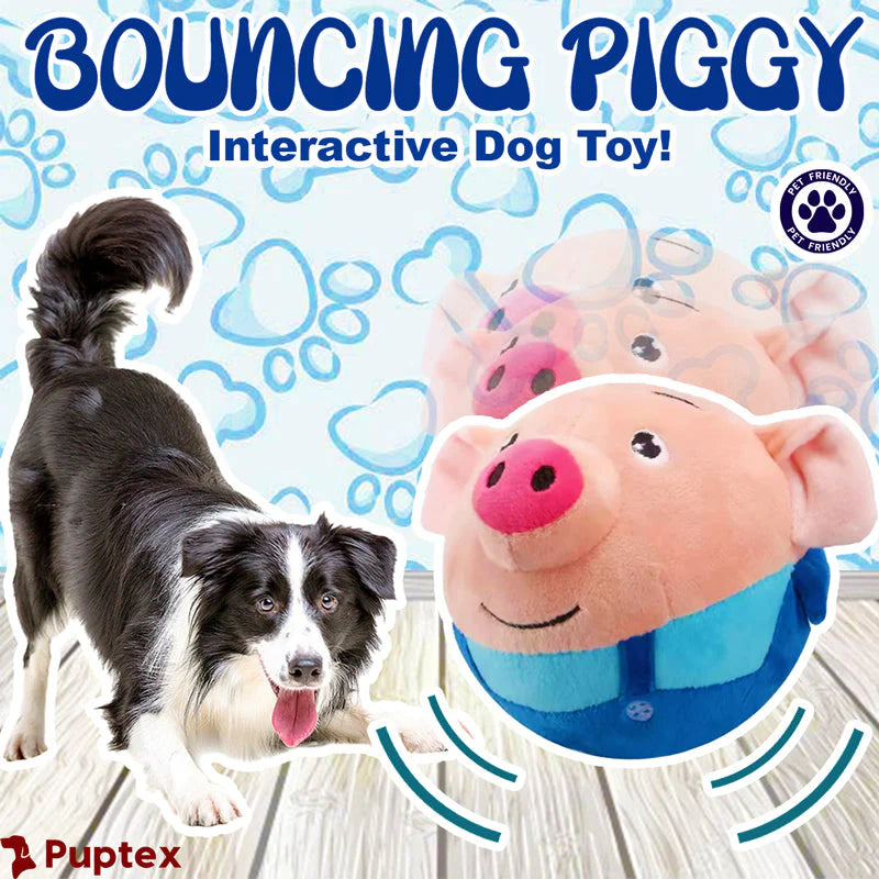 Puptex™ Bouncing Piggy Ball for Dogs