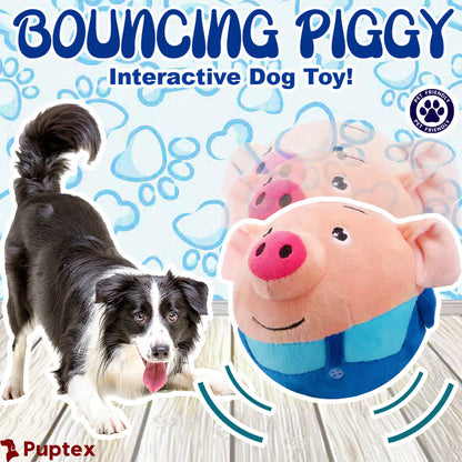 Puptex™ Bouncing Piggy Ball for Dogs
