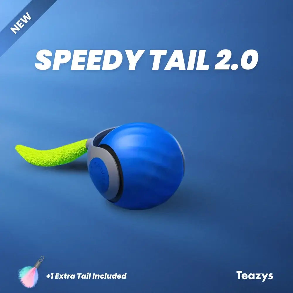 Tyeazy™ The Ultimate Cat Toy - BEST SELLER 2025