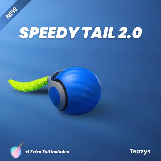 Tyeazy™ The Ultimate Cat Toy - BEST SELLER 2025