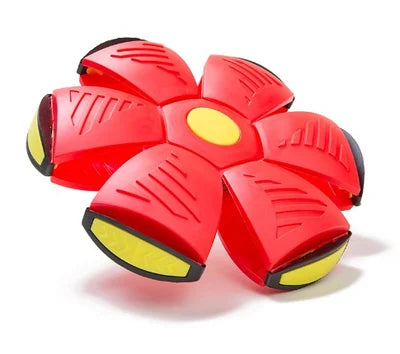 Doggy Disc Ball