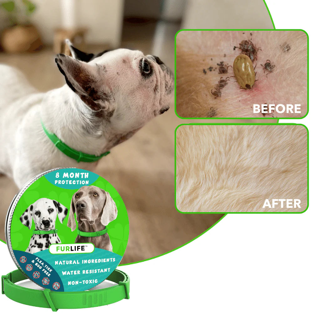 FurLife™ - 8 Months Flea and Tick Collar for Dogs