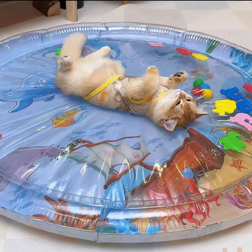 Pet Inflatable Water Toy [Scratch Resistant]