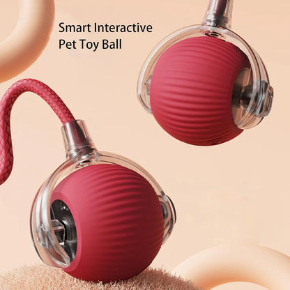Furry's Interactive Rotating Fun Ball