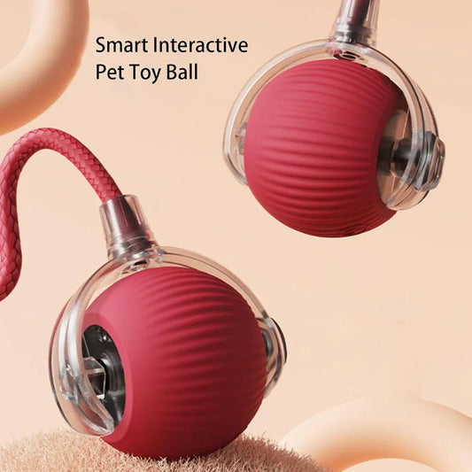 Furry's Interactive Rotating Fun Ball