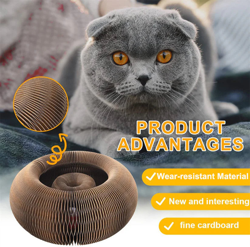 Cat Interactive Toy - Scratcher