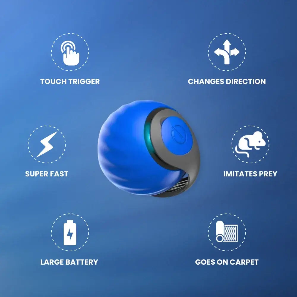 Tyeazy™ The Ultimate Cat Toy - BEST SELLER 2025