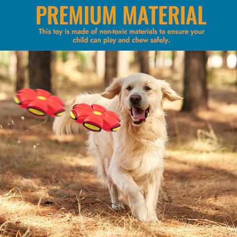 Doggy Disc Ball
