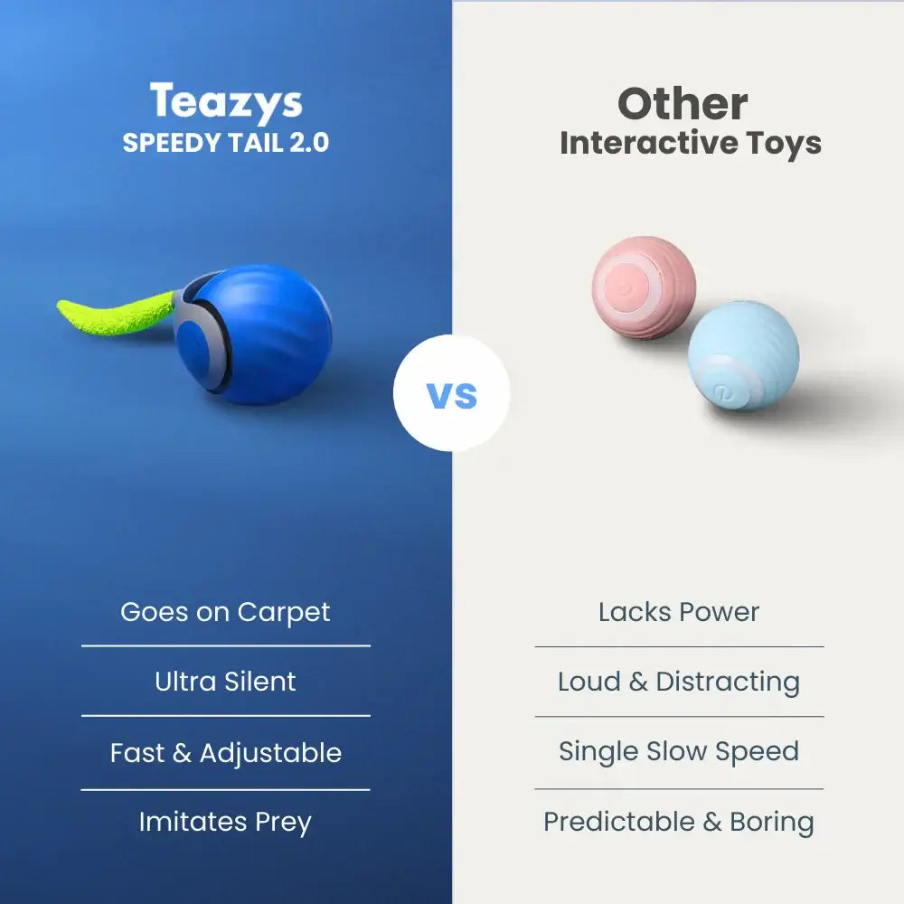 Tyeazy™ The Ultimate Cat Toy - BEST SELLER 2025