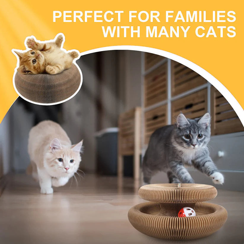 Cat Interactive Toy - Scratcher