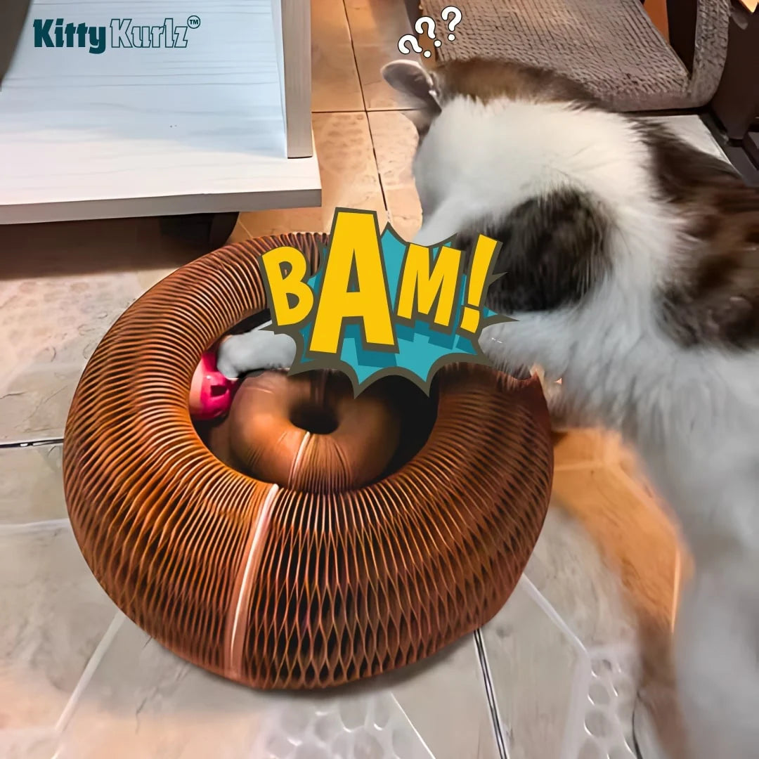 Kitty Kurlz™ - Cat Interactive Toy