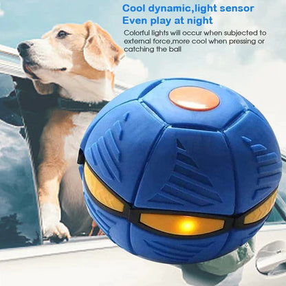 Doggy Disc Ball
