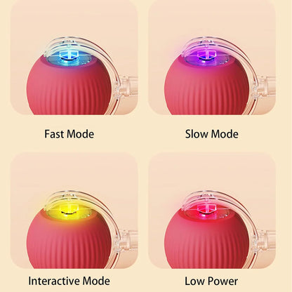 Furry's Interactive Rotating Fun Ball