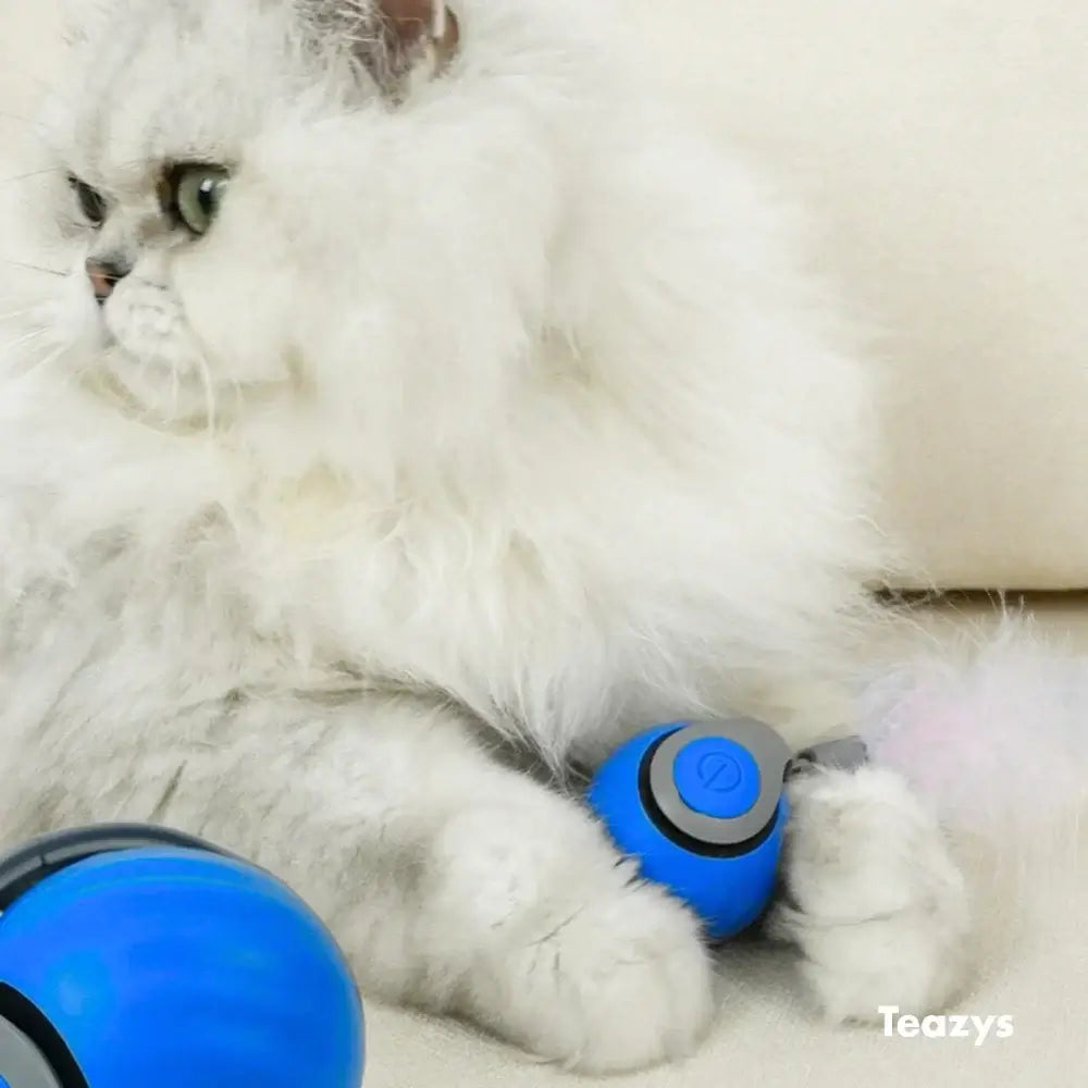 Tyeazy™ The Ultimate Cat Toy - BEST SELLER 2025