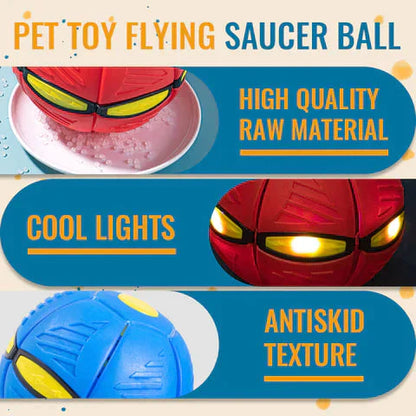 Doggy Disc Ball
