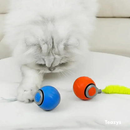 Tyeazy™ The Ultimate Cat Toy - BEST SELLER 2025