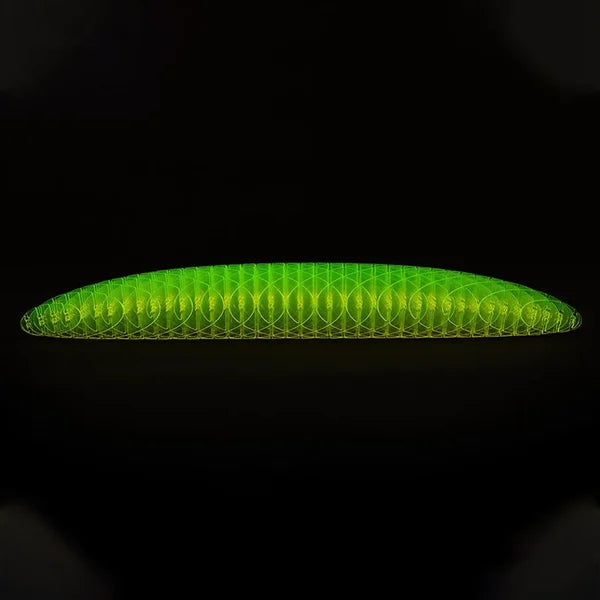 MORF's ® WORM FIDGET