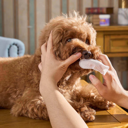 HICC Pet™ Pet Finger Wipes [CAT & DOG] - 50 Pcs