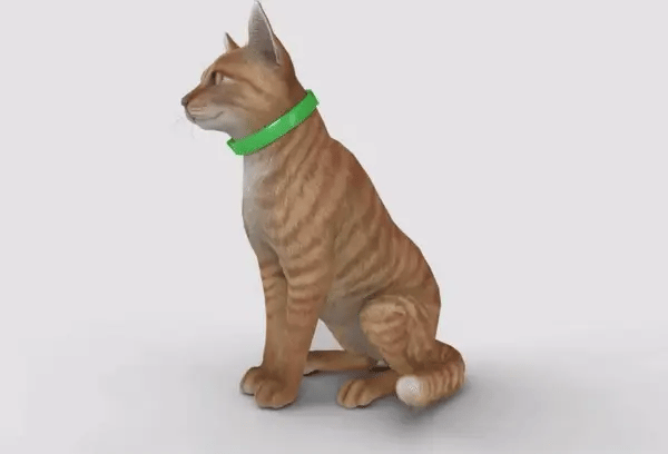 FurLife™ - 8 Months Flea and Tick Collar for Cats
