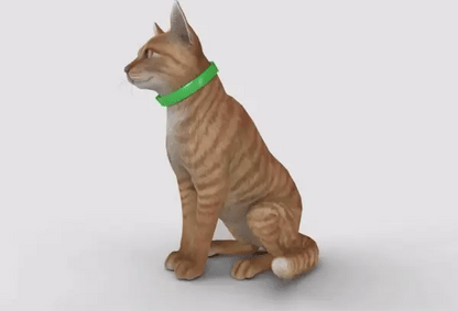 FurLife™ - 8 Months Flea and Tick Collar for Cats