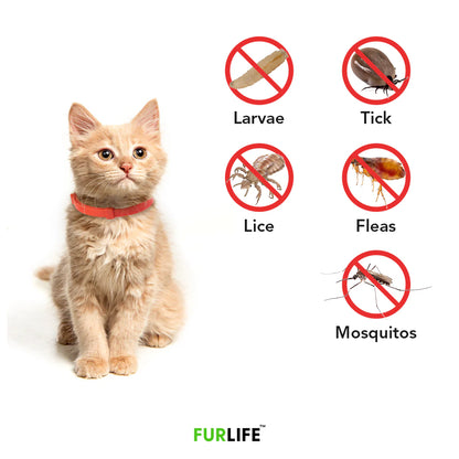 FurLife™ - 8 Months Flea and Tick Collar for Cats