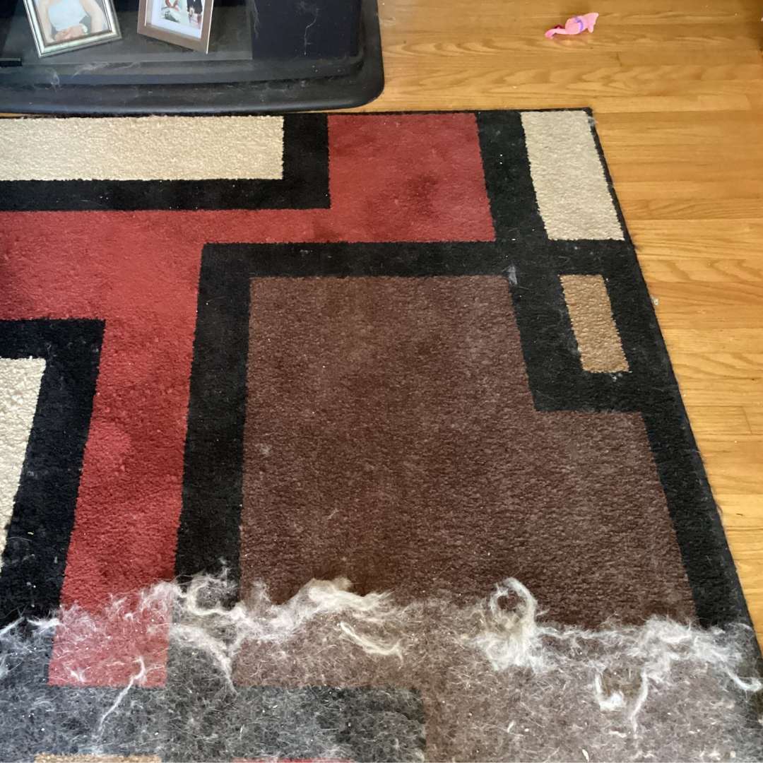 Hair Cleaner Pro™ ✨ The Ultimate Solution for Pet Hair Removal.