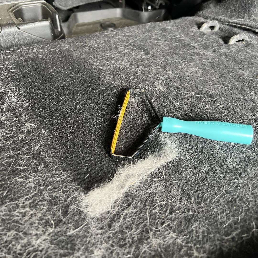 Hair Cleaner Pro™ ✨ The Ultimate Solution for Pet Hair Removal.